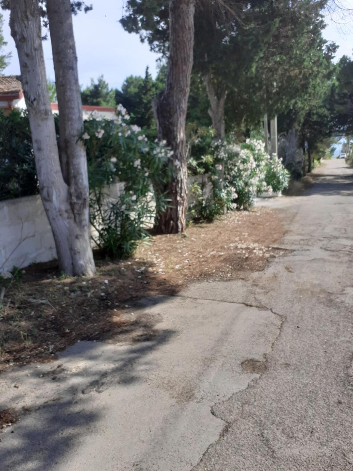 Villetta Dei Fiori, Vicino Spiaggia Di Punta Pizzo غالّيبولي المظهر الخارجي الصورة